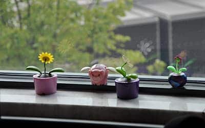 small plants and pig figurines