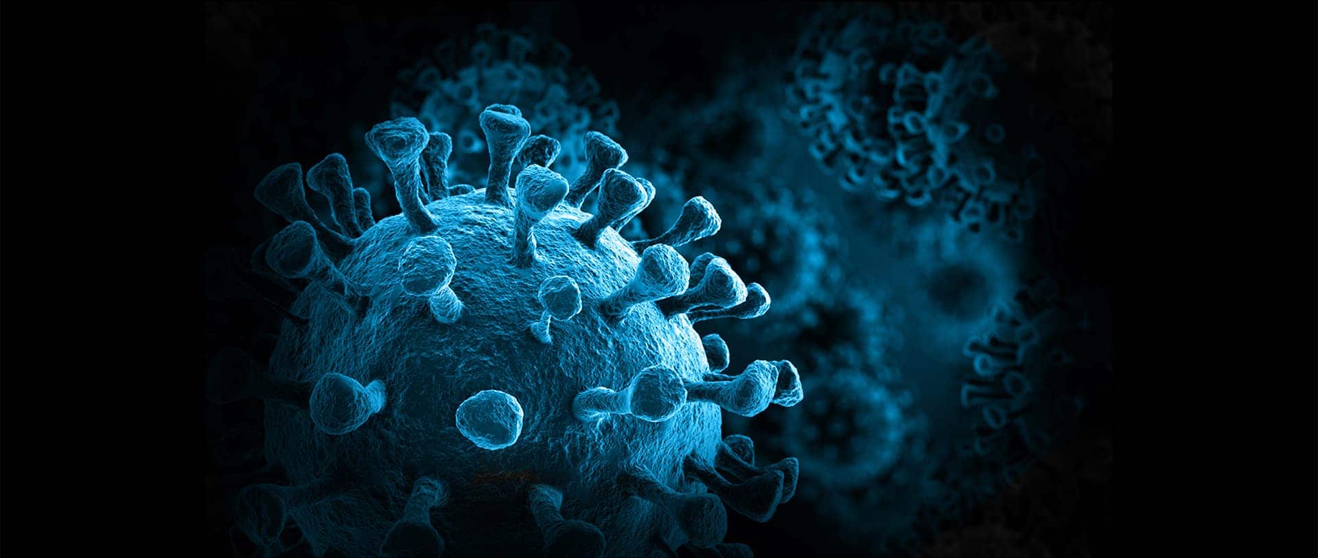 Microscopic image of virus.