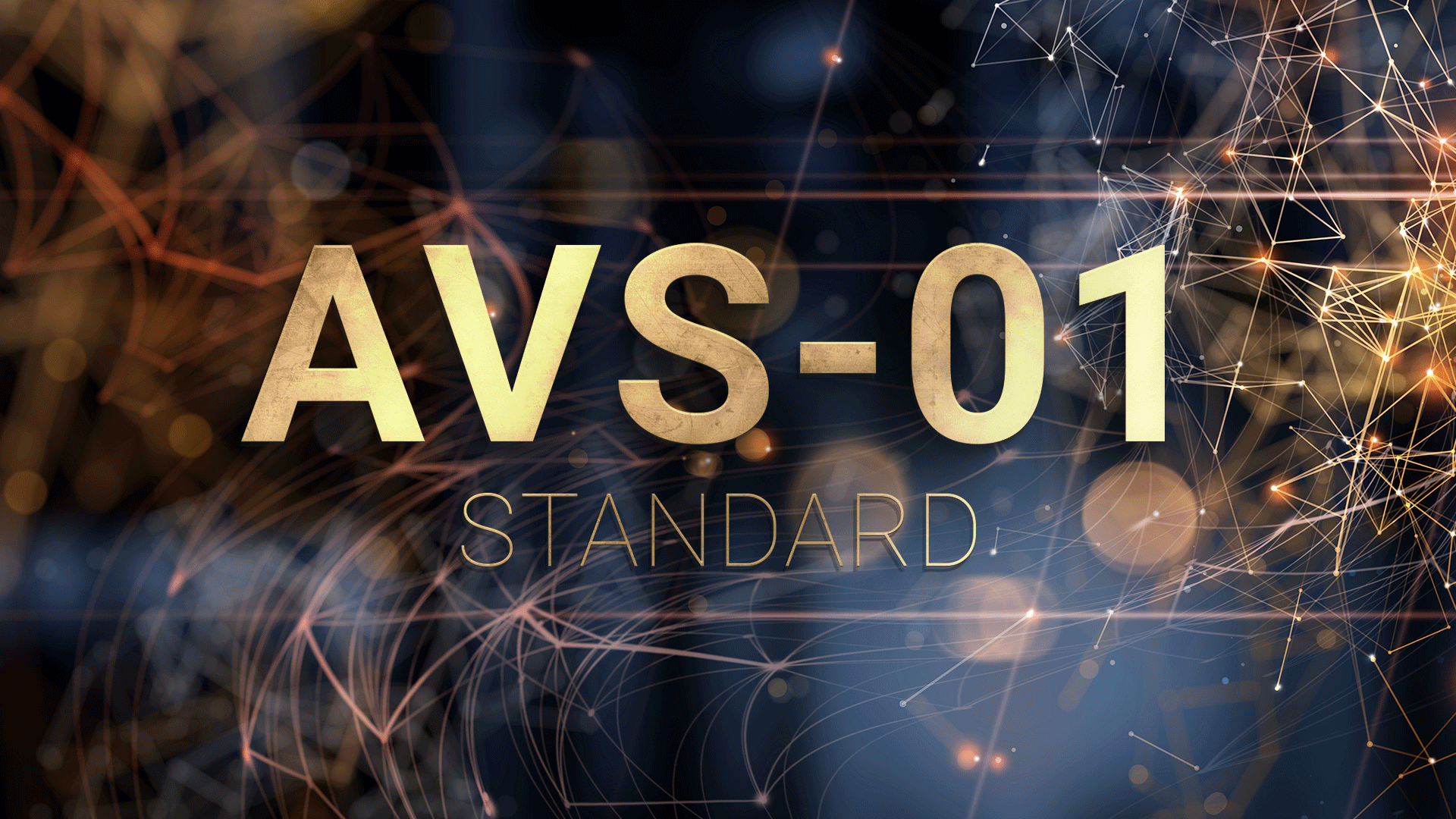 An image that says: AVS-01 STANDARD.